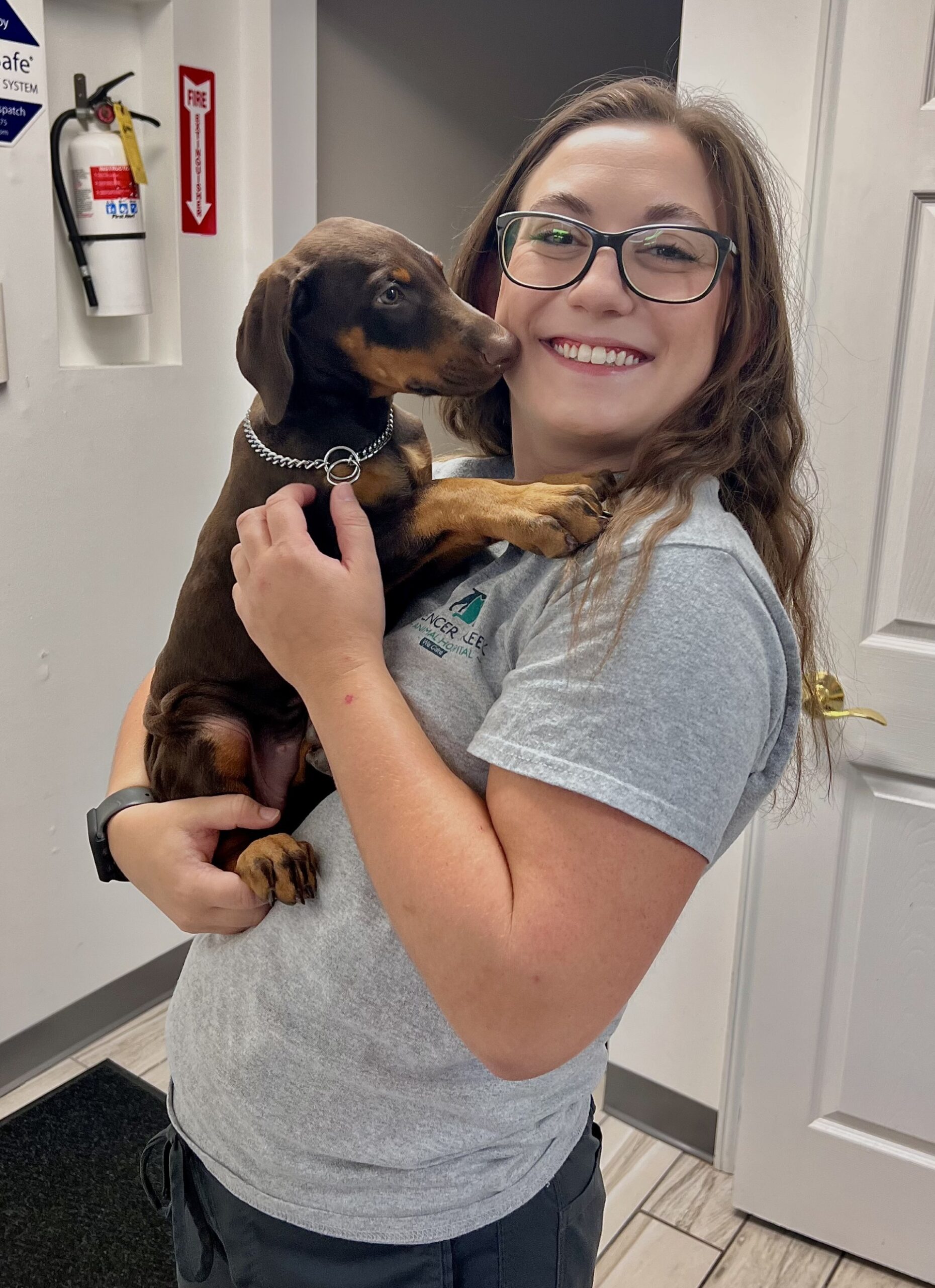 vet staff holding a dog