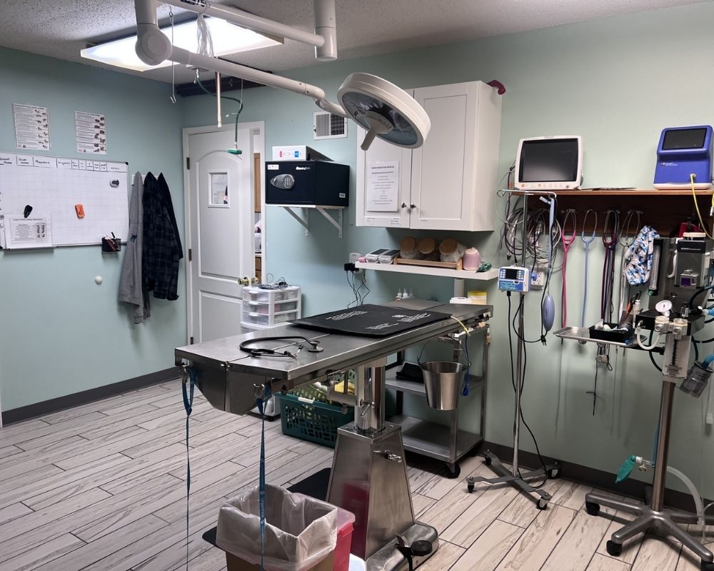 Spencer Creek Animal Hospital Surgery Suite